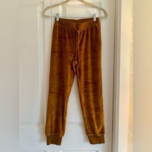 Madewell brown velvet joggers